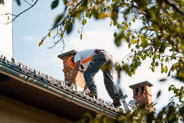 Best Roof Insulation Installation  in Muskegon Heights, MI