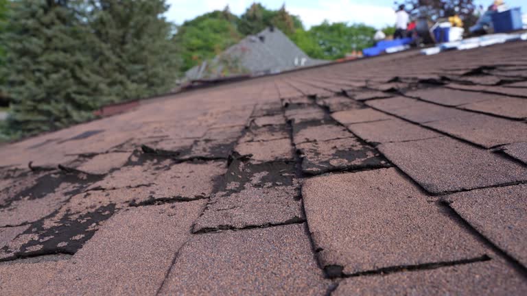 Best Rubber Roofing (EPDM, TPO)  in Muskegon Heights, MI