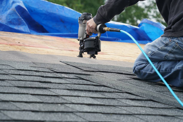 Best Roof Coating and Sealing  in Muskegon Heights, MI