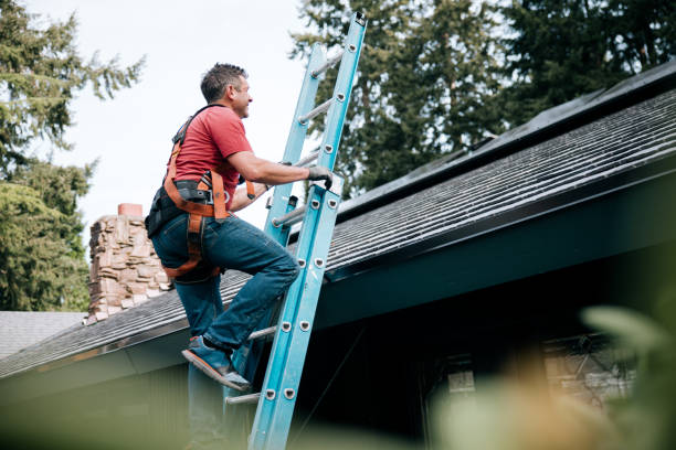 Best Green or Eco-Friendly Roofing Solutions  in Muskegon Heights, MI